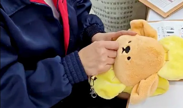 Juno Professional stellt Plüschtiermuster her